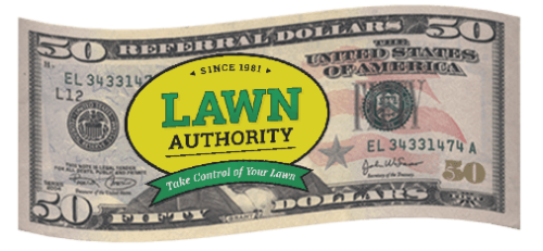 Curved Referral 50 small